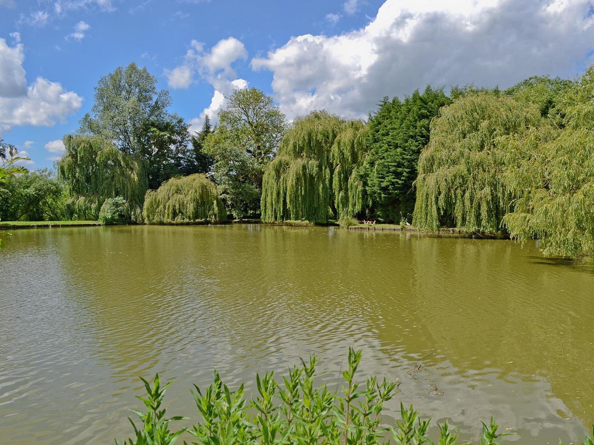 Lake House Cottage Finchingfield Экстерьер фото
